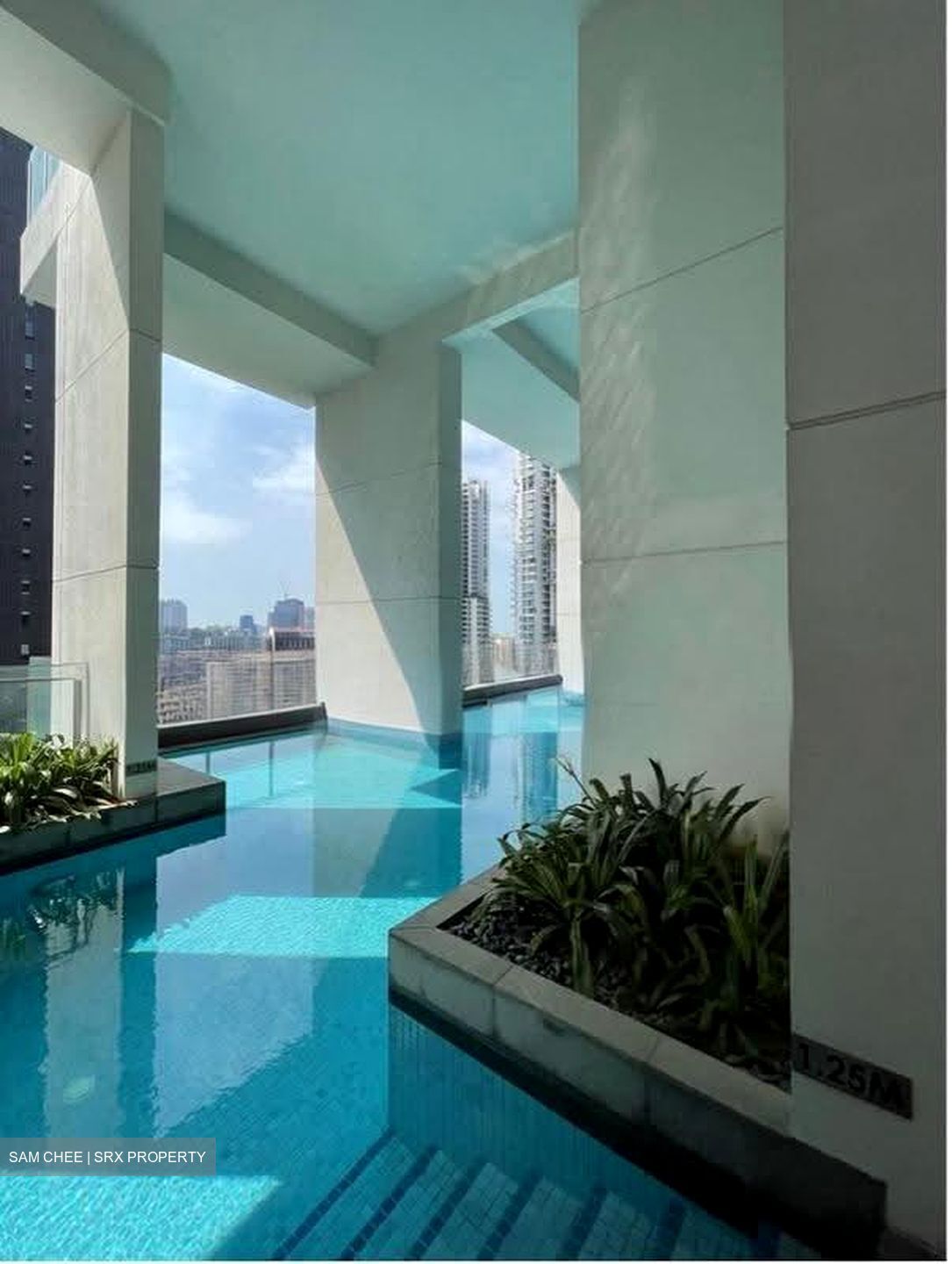 Starlight Suites (D9), Apartment #610146441